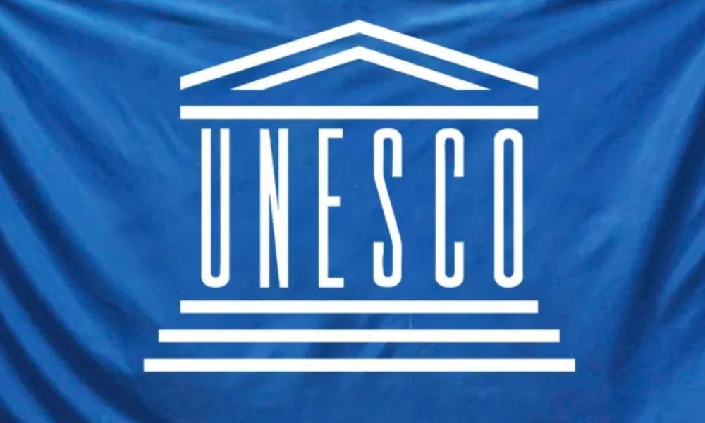 The Unesco Internship Program